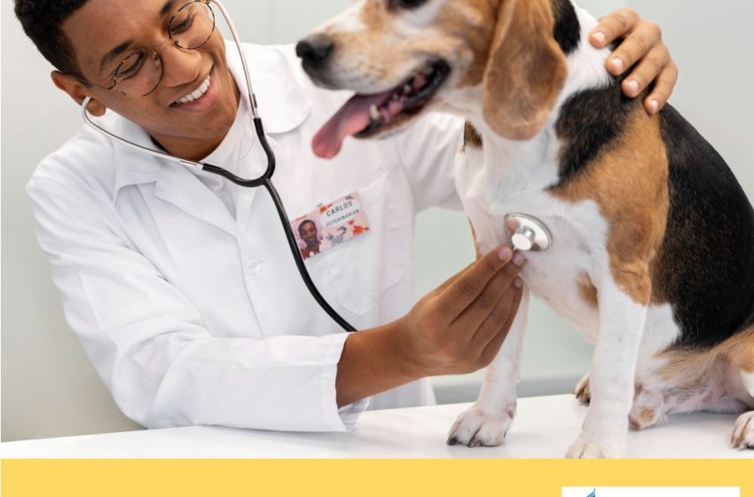 Dia do Veterinário