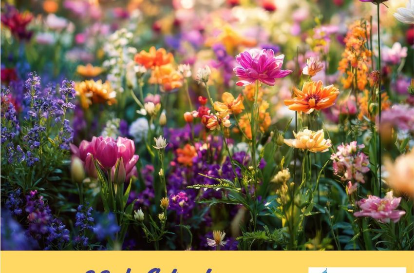  Início da Primavera